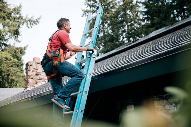 Best Solar Panel Roofing Installation  in Powell, OH