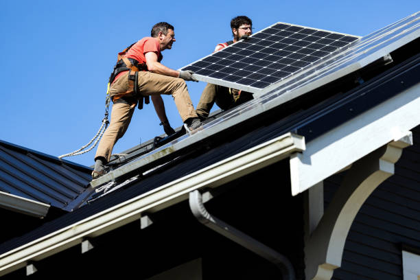 Best Roof Moss and Algae Removal  in Powell, OH